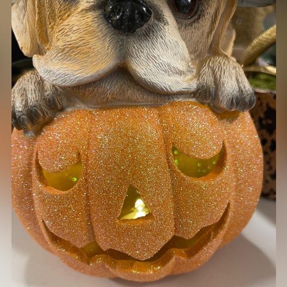 Halloween Puppy Witch Light up Orange Glitter Jack o’Lantern Humane Society NWT - Picture 4 of 7